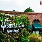 STL Zoo