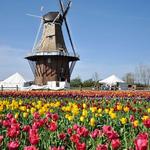 Windmill Island Gardens