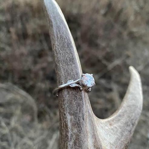 The ring shown on the antler of the mule deer buck.