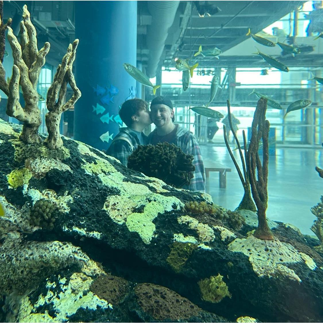 A kiss through the fish, SC Aquarium