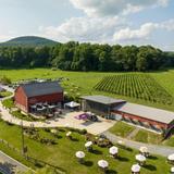 Sugarloaf Mountain Vineyard