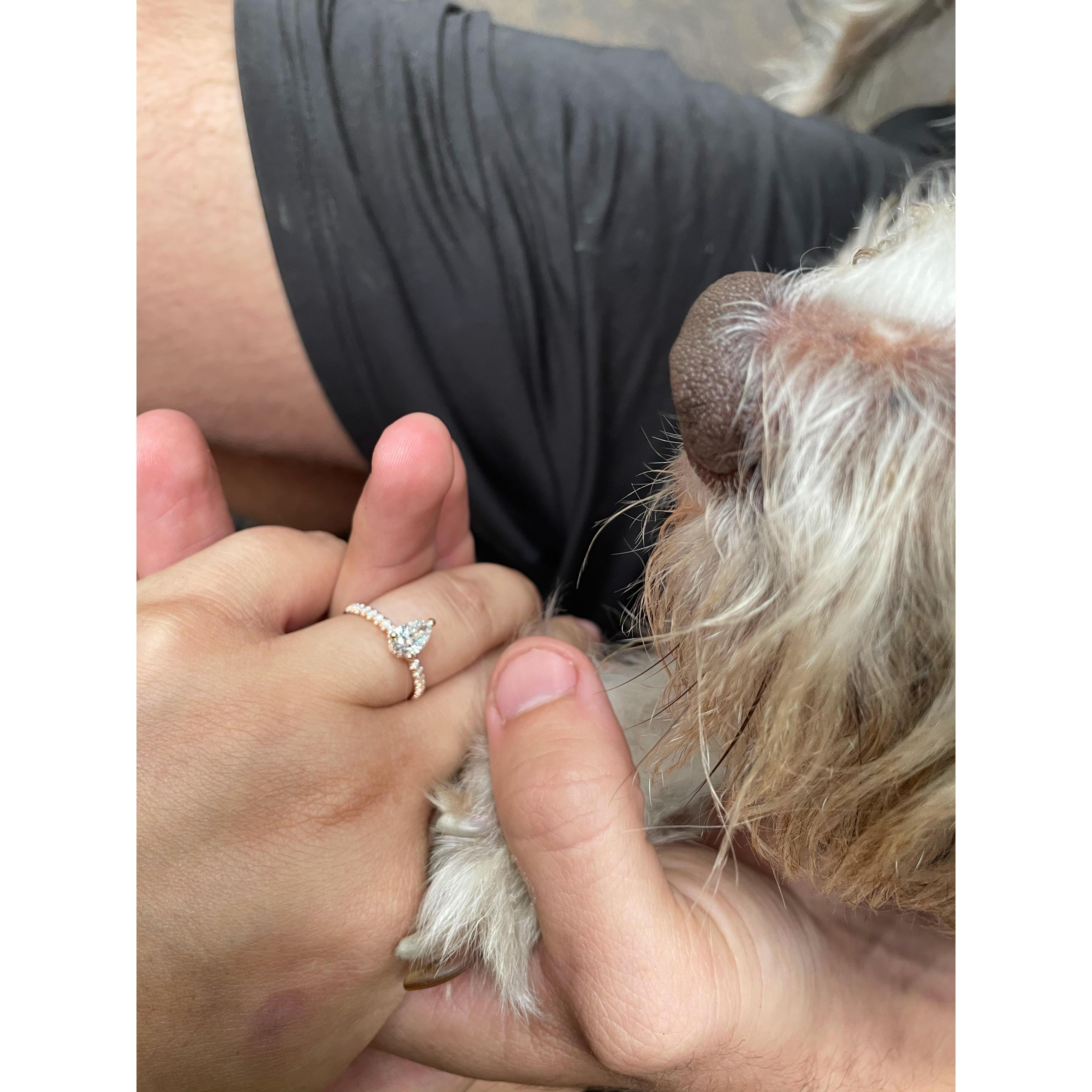 The day WE said YESSSS!!