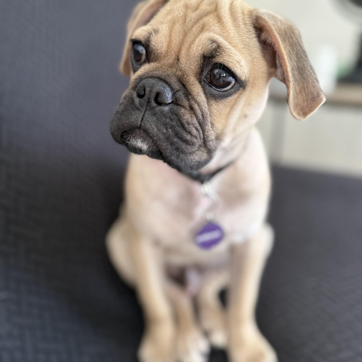 Our first week with our baby boy, JJ