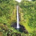 Akaka Falls State Park