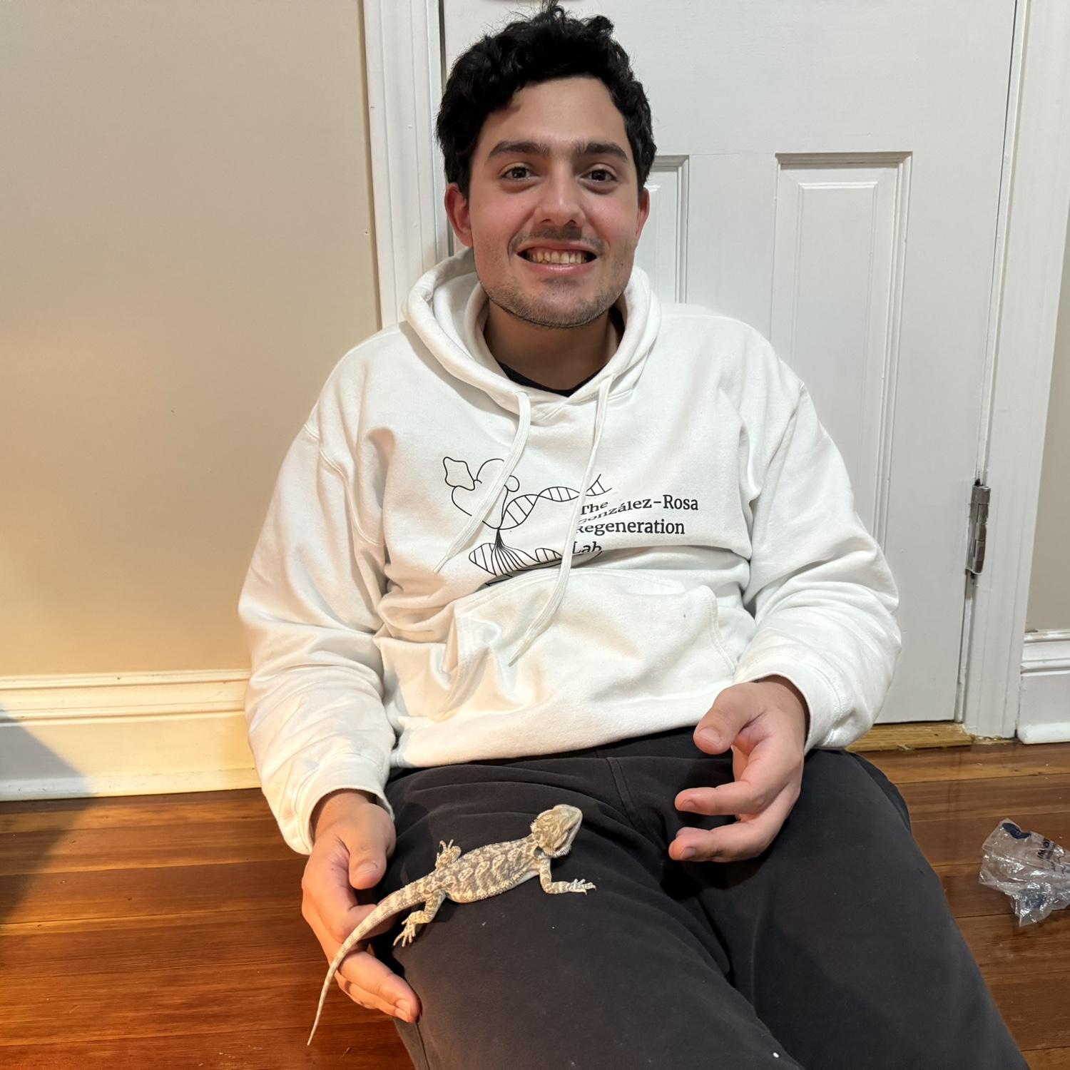 The day we became lizard parents