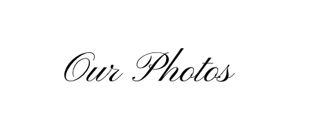 The Wedding Website of Beatrice Margarita Rivera and Aldo Alushi