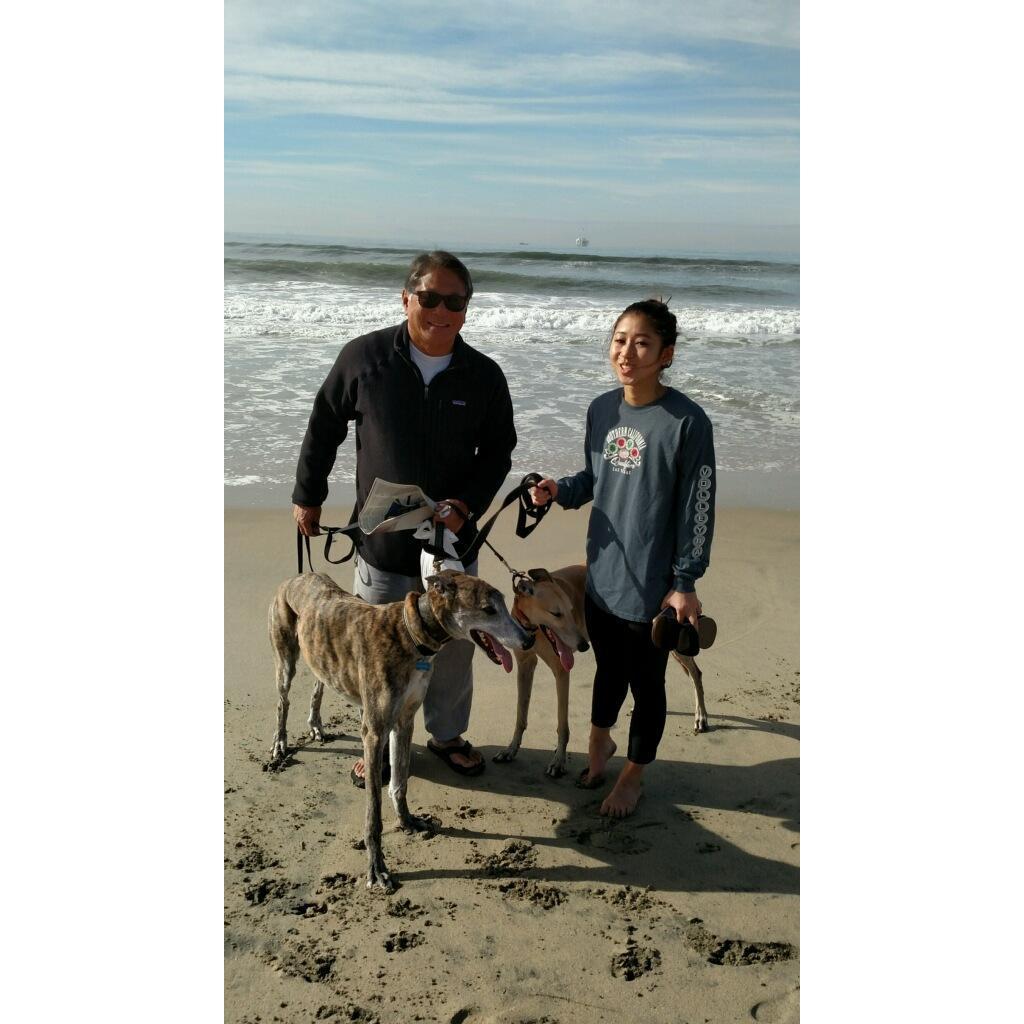 Stan, Melia, Dodger, and Winnie enjoying a day at the beach