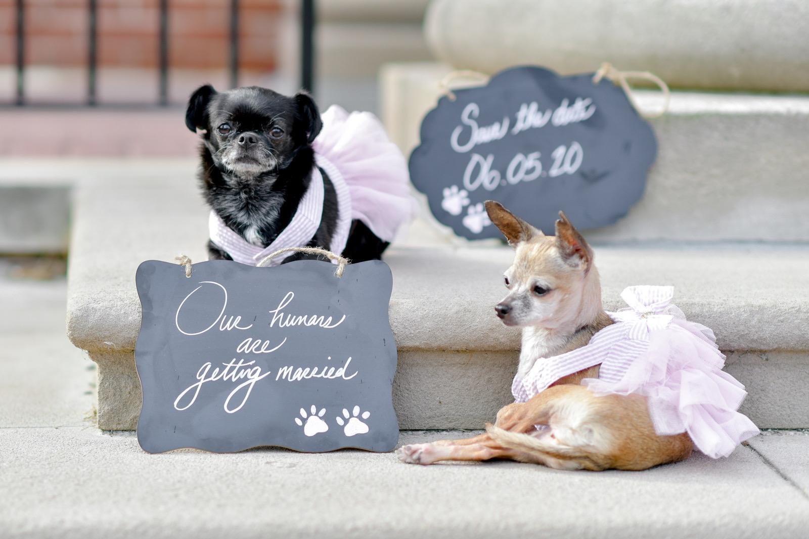 The Wedding Website of Ashley Edwards and Kareem Hendricks