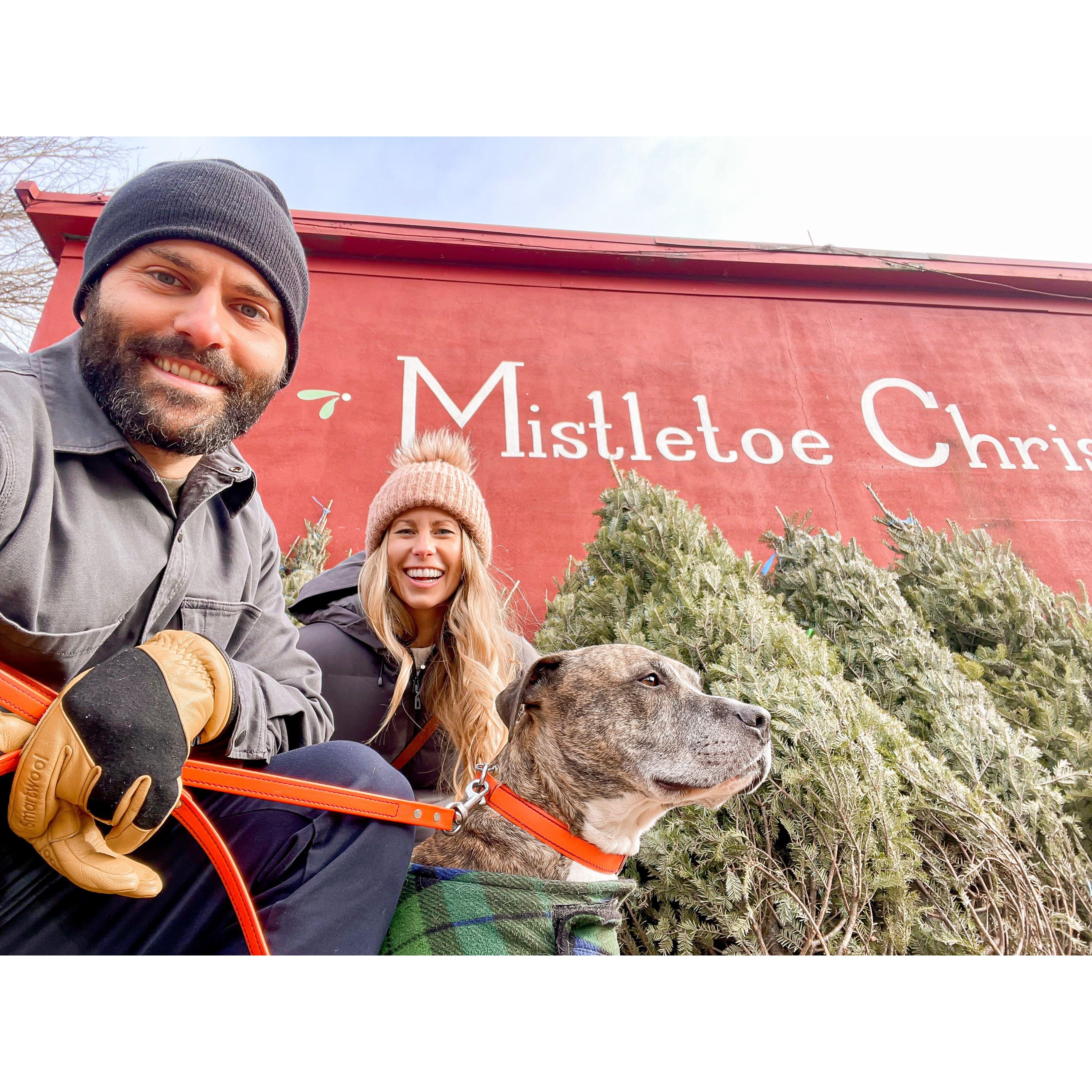 Picking out the perfect tree--Fred had a lot of opinions!