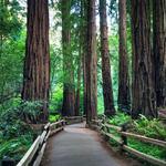 Muir Woods Visitor Center