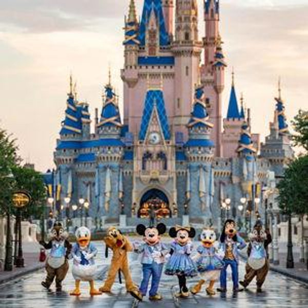 Honeymoon to Disney World!