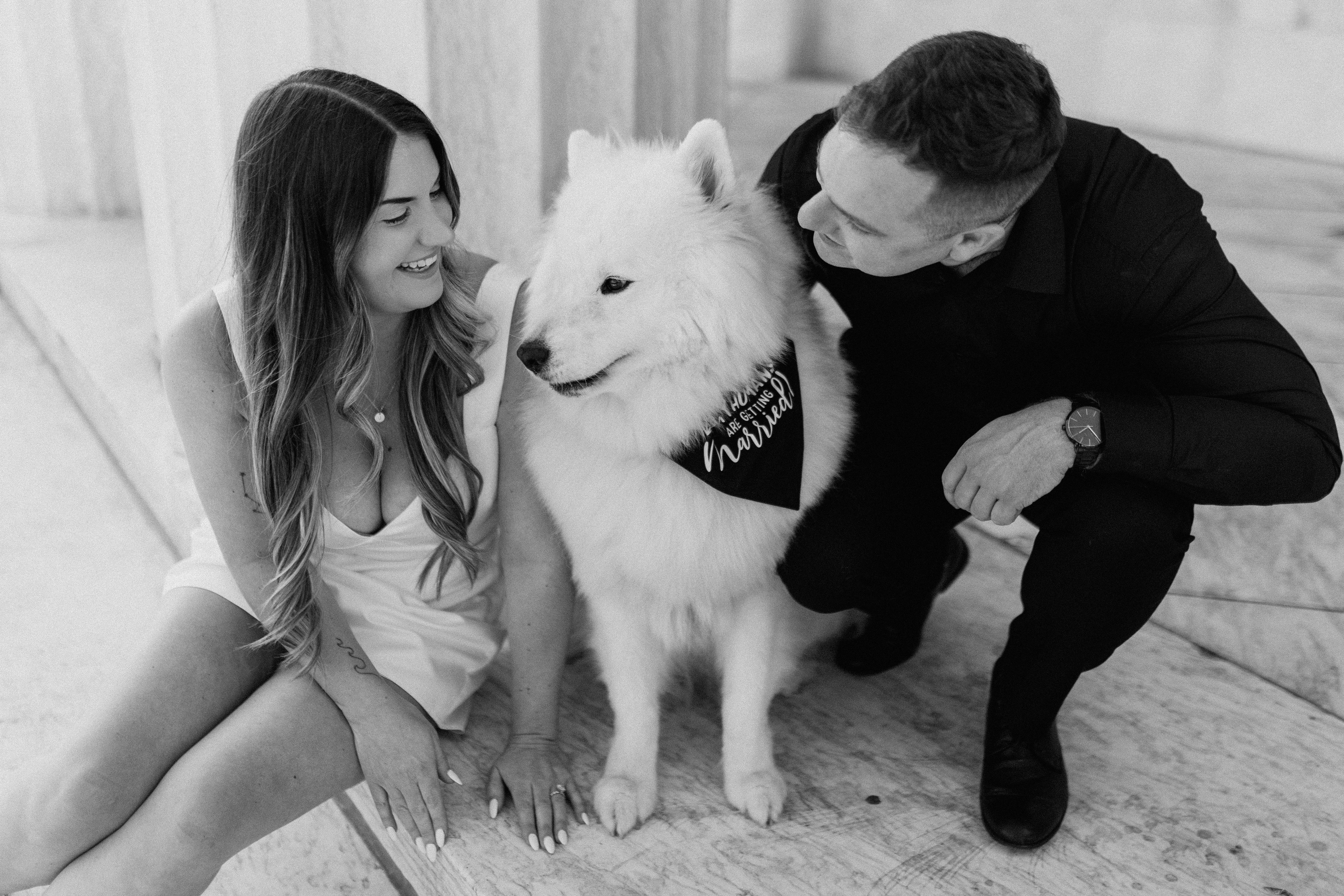 The Wedding Website of Jessica Driscoll and Ian Brown