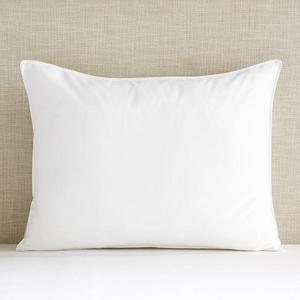Standard Size Sleepsmart 37.5® Down Alternative Pillow