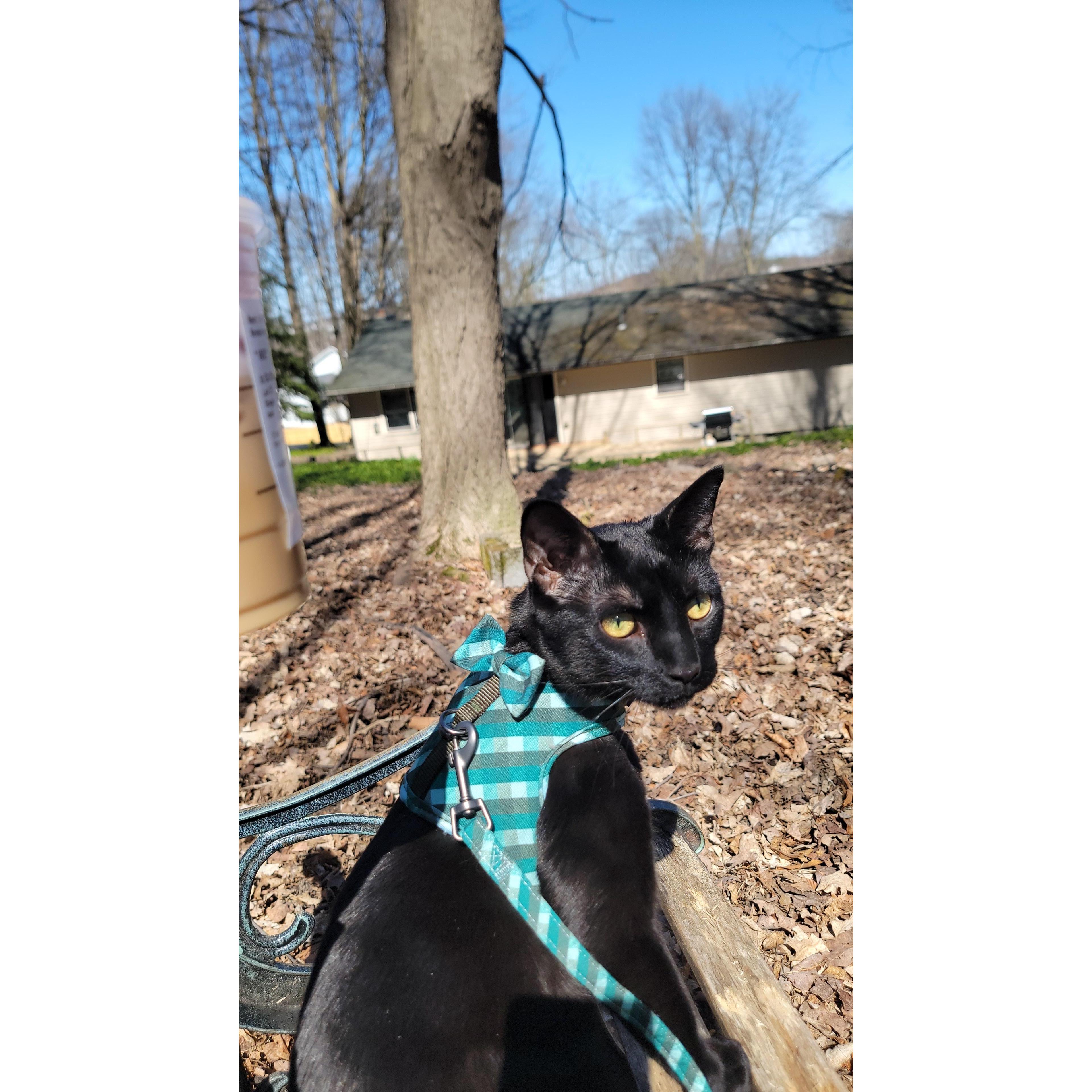 Handsome Marlow