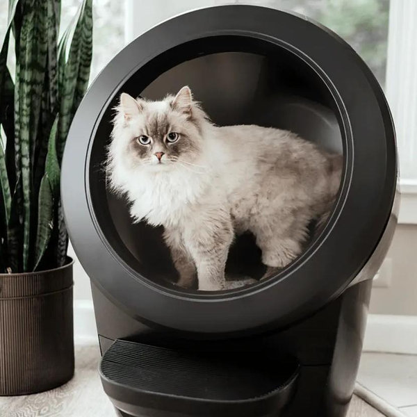 Litter Robot 4