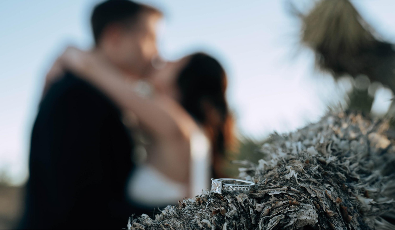 The Wedding Website of Anna Garbowski and James Schultz