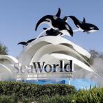 SeaWorld Orlando