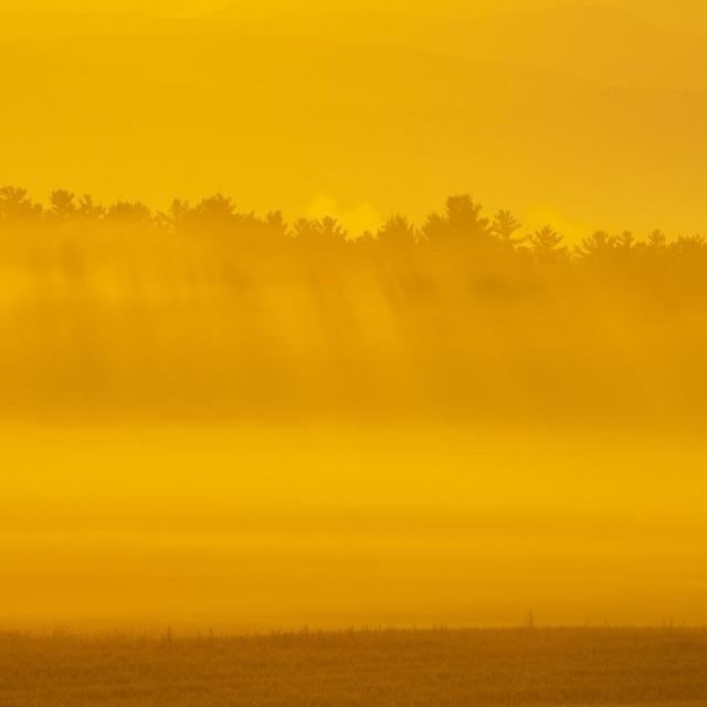 Vermont Prints - Caleb Kenna