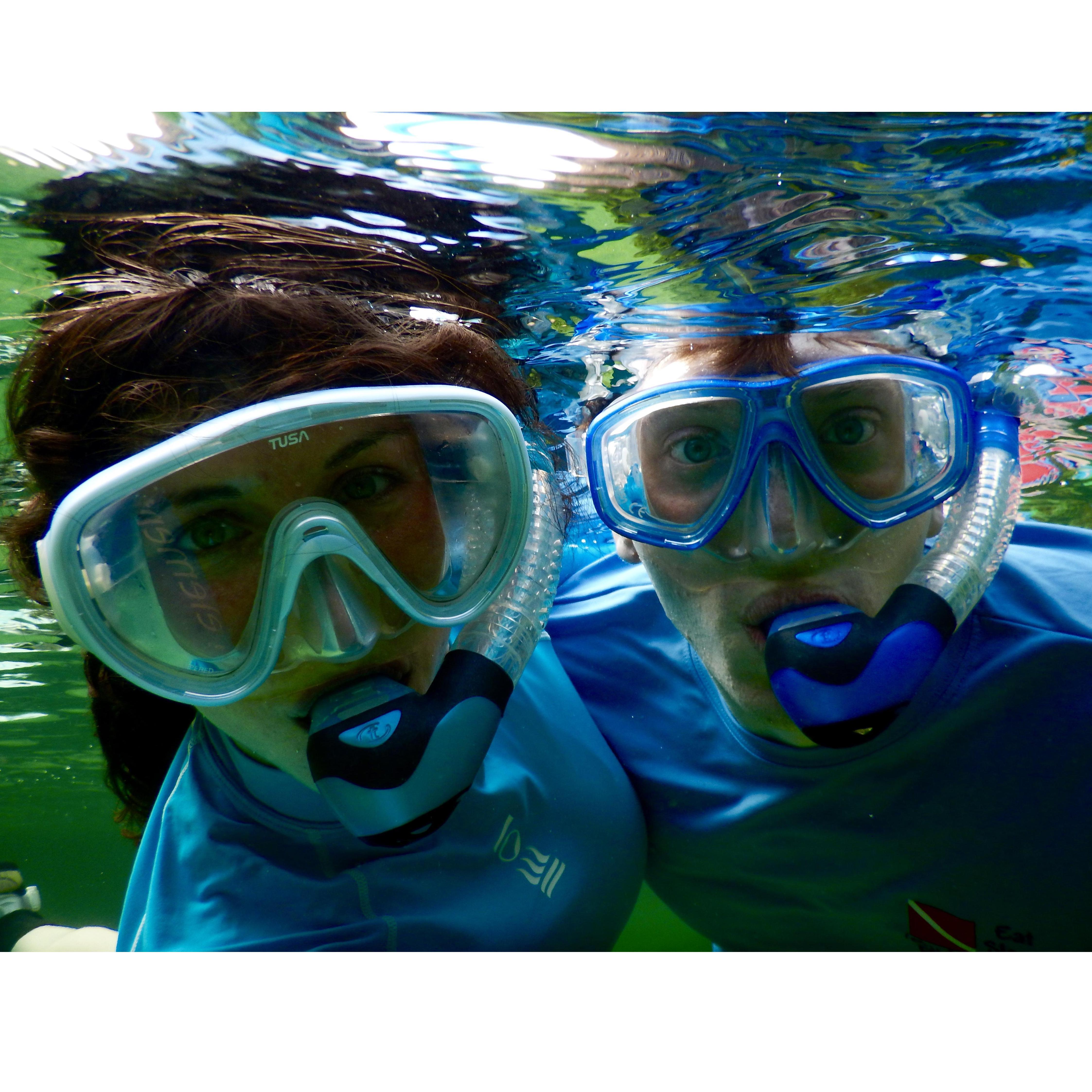Snorkeling in Hawai'i