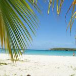 Vieques