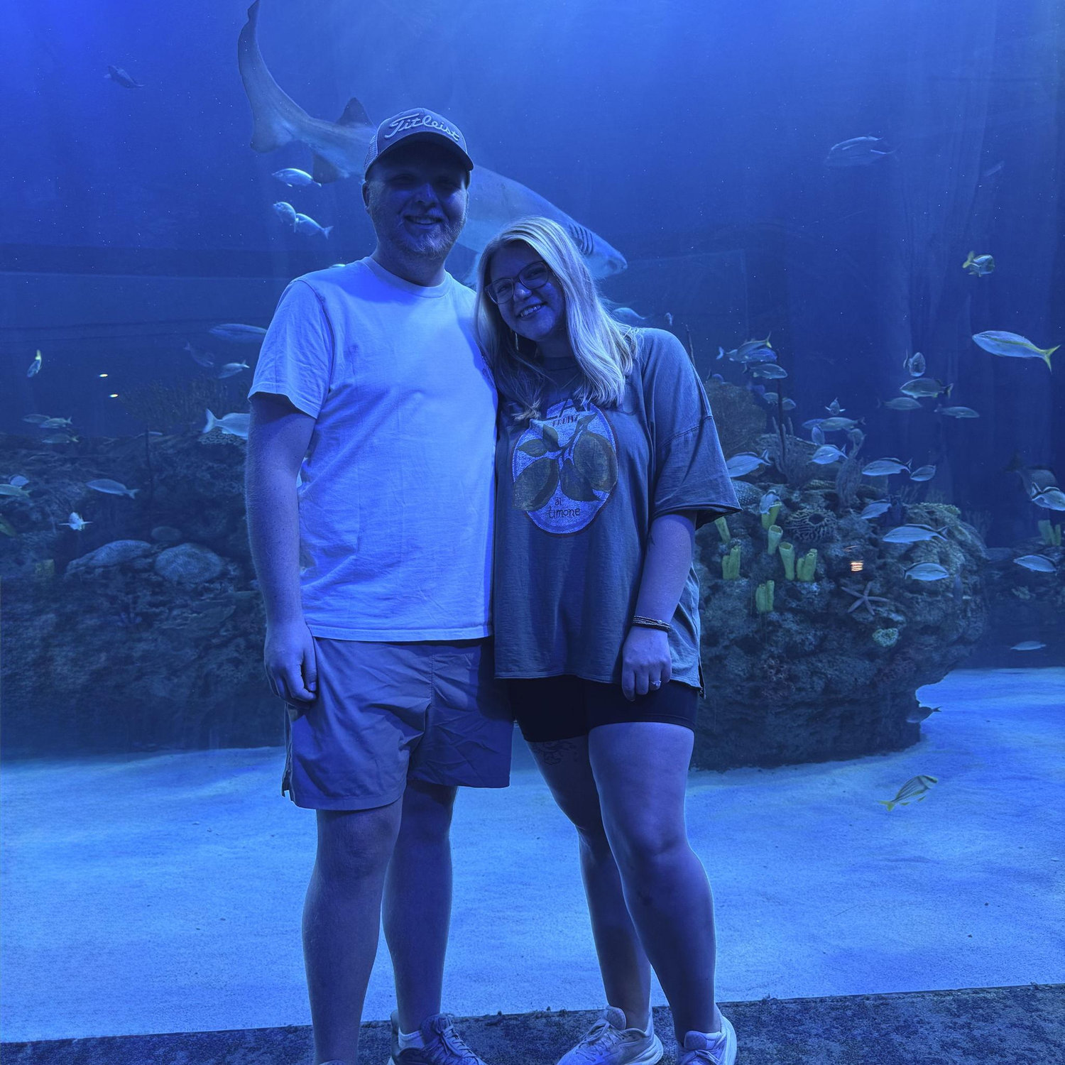 Mote marine aquarium!