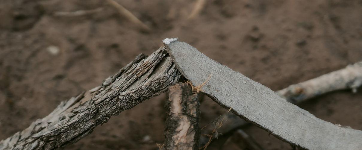 The Wedding Website of William Wright and Analysia Vaquera