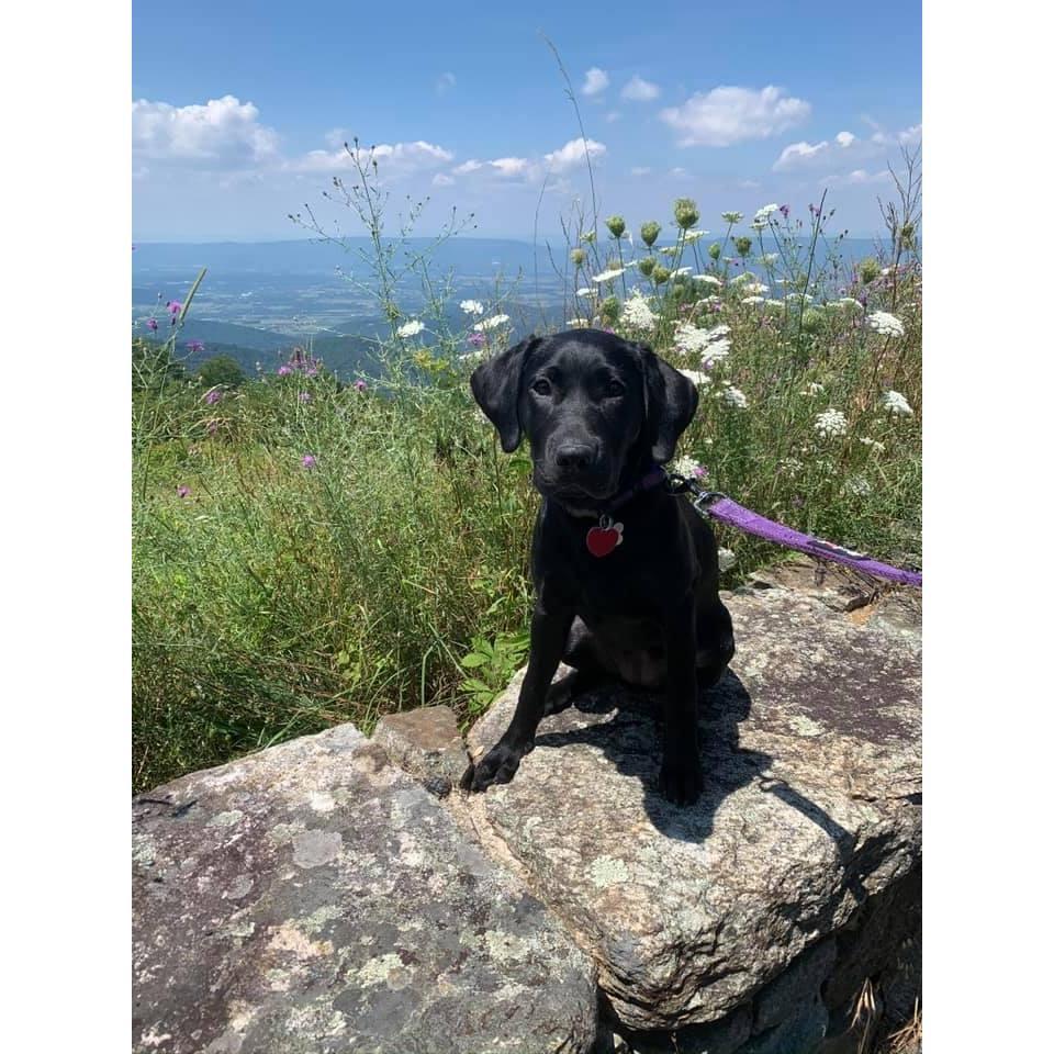 Ru's first trip to the Shenandoah National Park