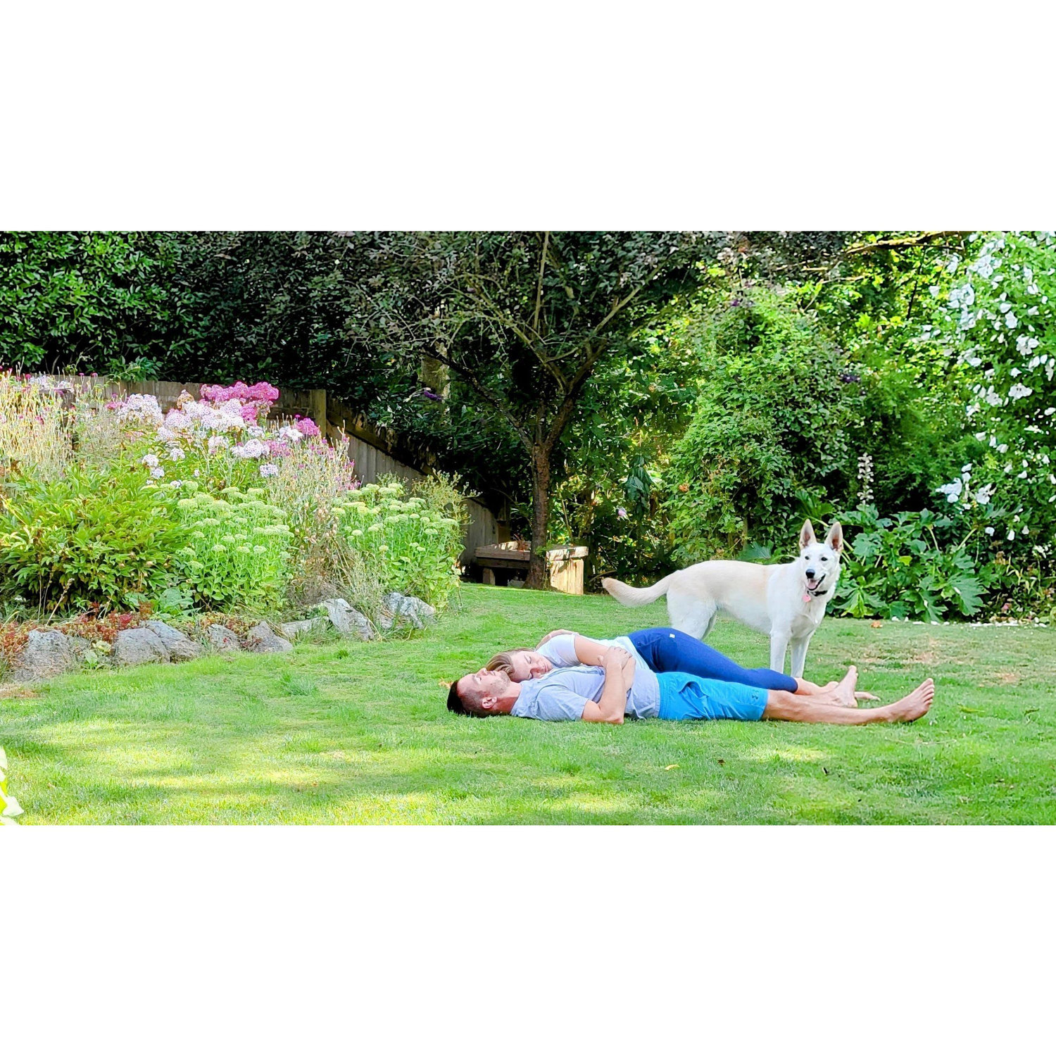 Lazy backyard day.