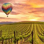 Napa Valley/ Sonoma County