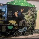 Art Exhibit