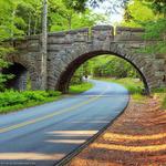 Take a walk down Carriage Road