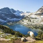 Visit Glacier National Park