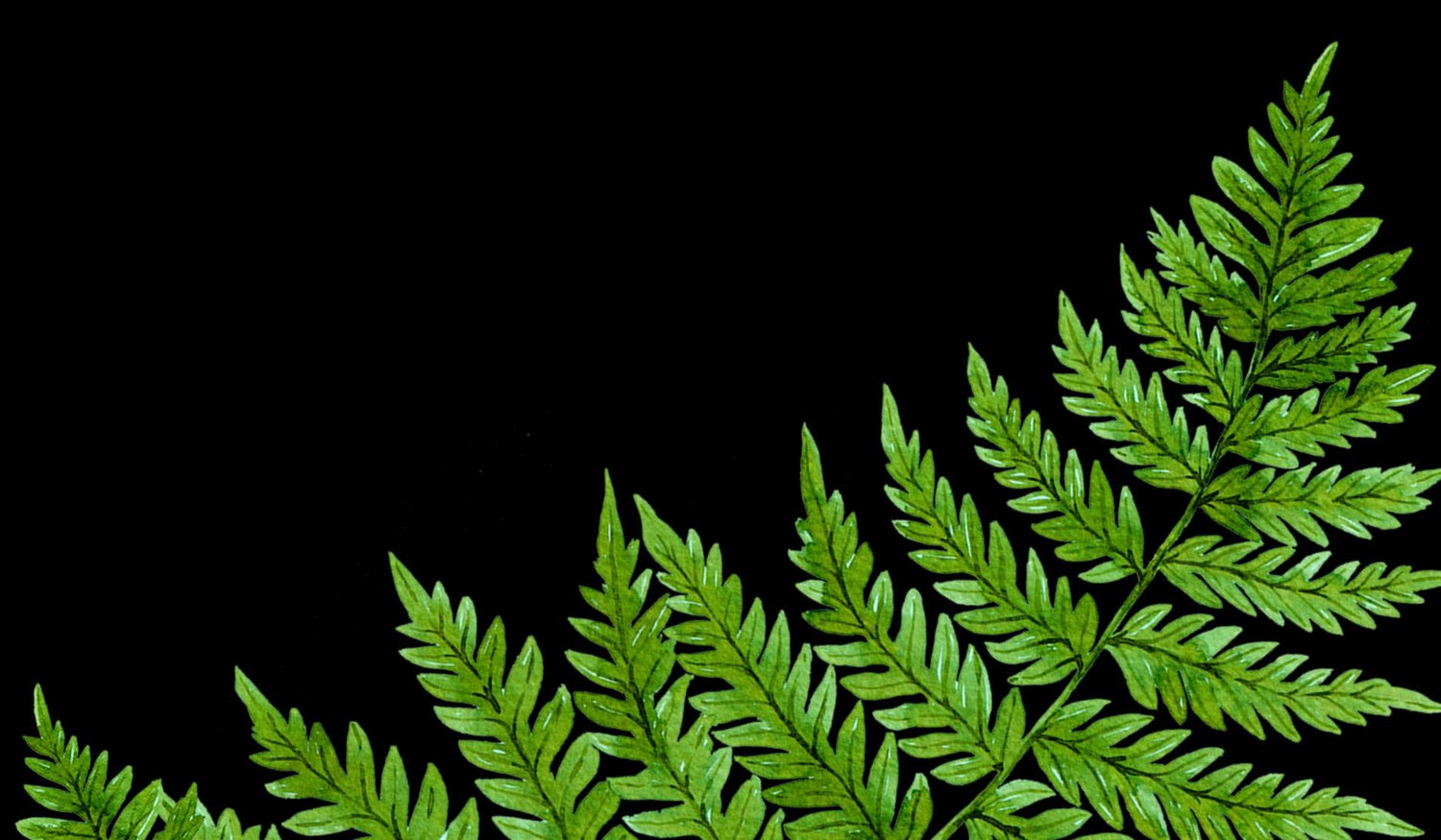 Footer image