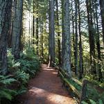 Hoyt Arboretum