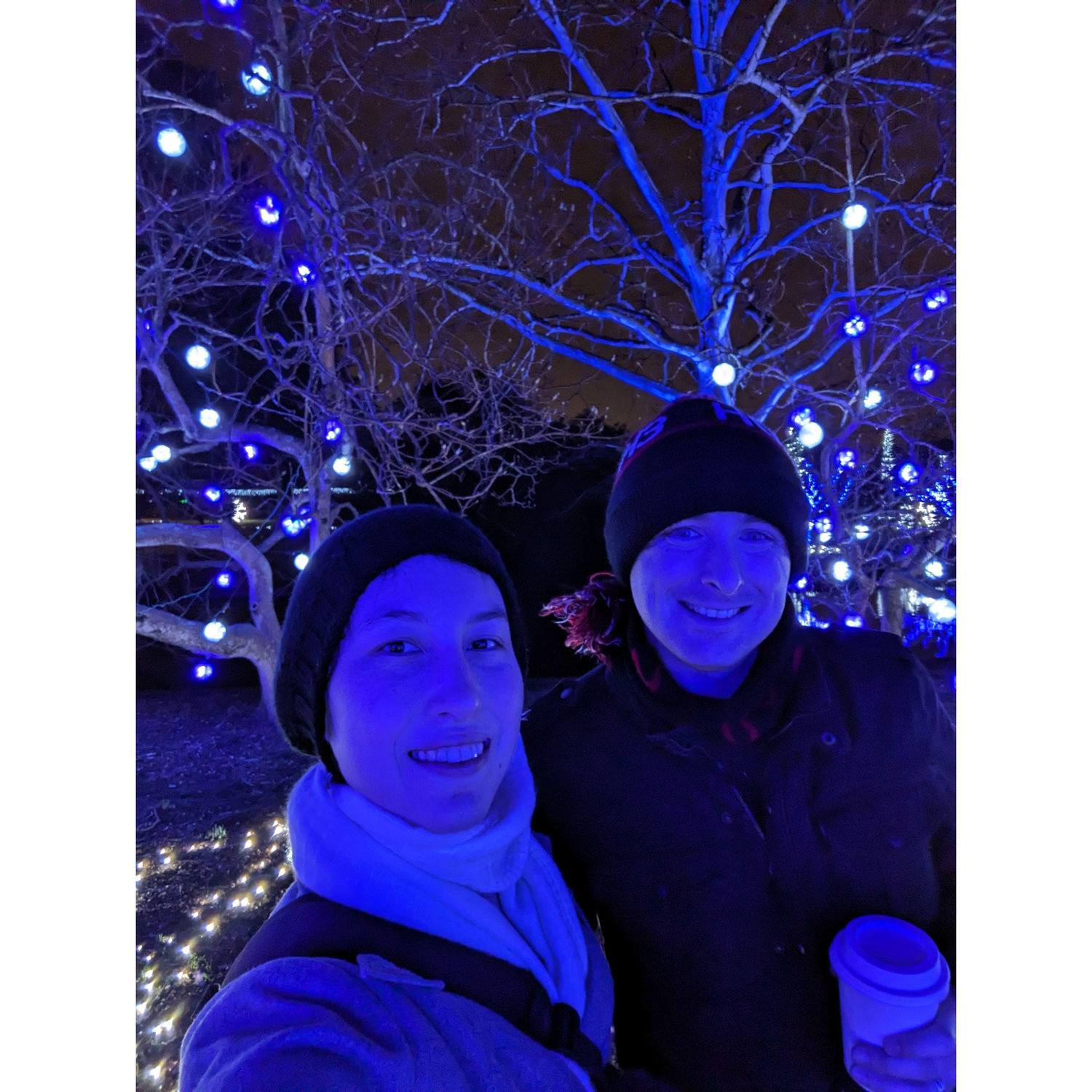 Norfolk Botanical Garden Christmas Lights 2023. Standby for announcement of our new Blueman Group.