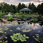 Denver Botanic Gardens