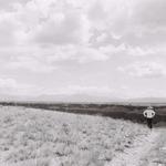 Hiking