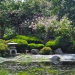 Japanese Garden