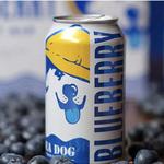 Try a blueberry beer at Sea Dog Brewing Co.