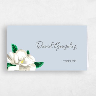 Sky, Blue Wedding Place Card - Morningside