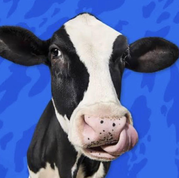 To Put Towards Half a Cow