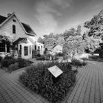 The Frelinghuysen Arboretum