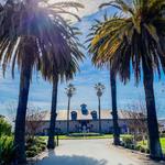 Rubino Estates Winery
