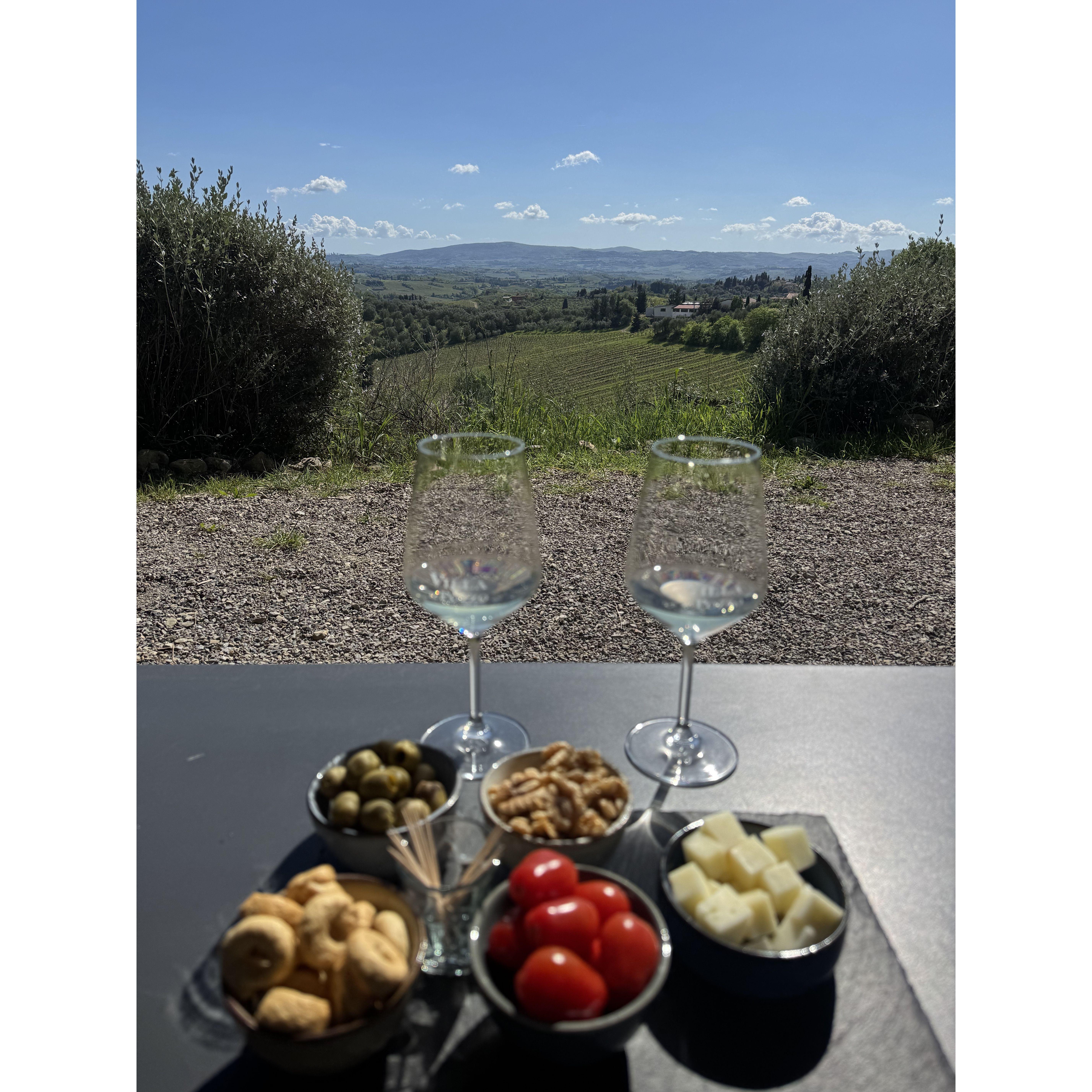 Wine tasting with the most gorgeous view