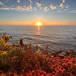 Sunset Cliffs