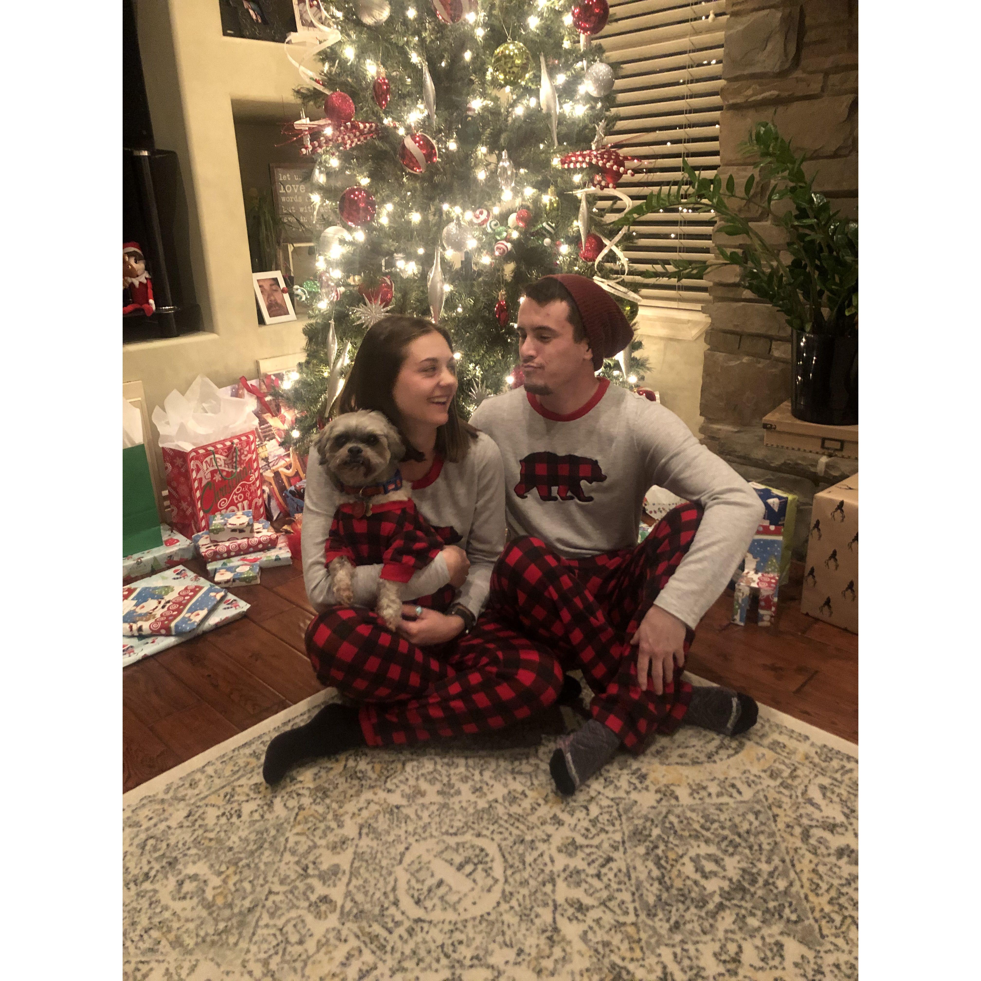 Holiday Celebration. (Featuring Ozzy, he loved the matching pajamas the most)