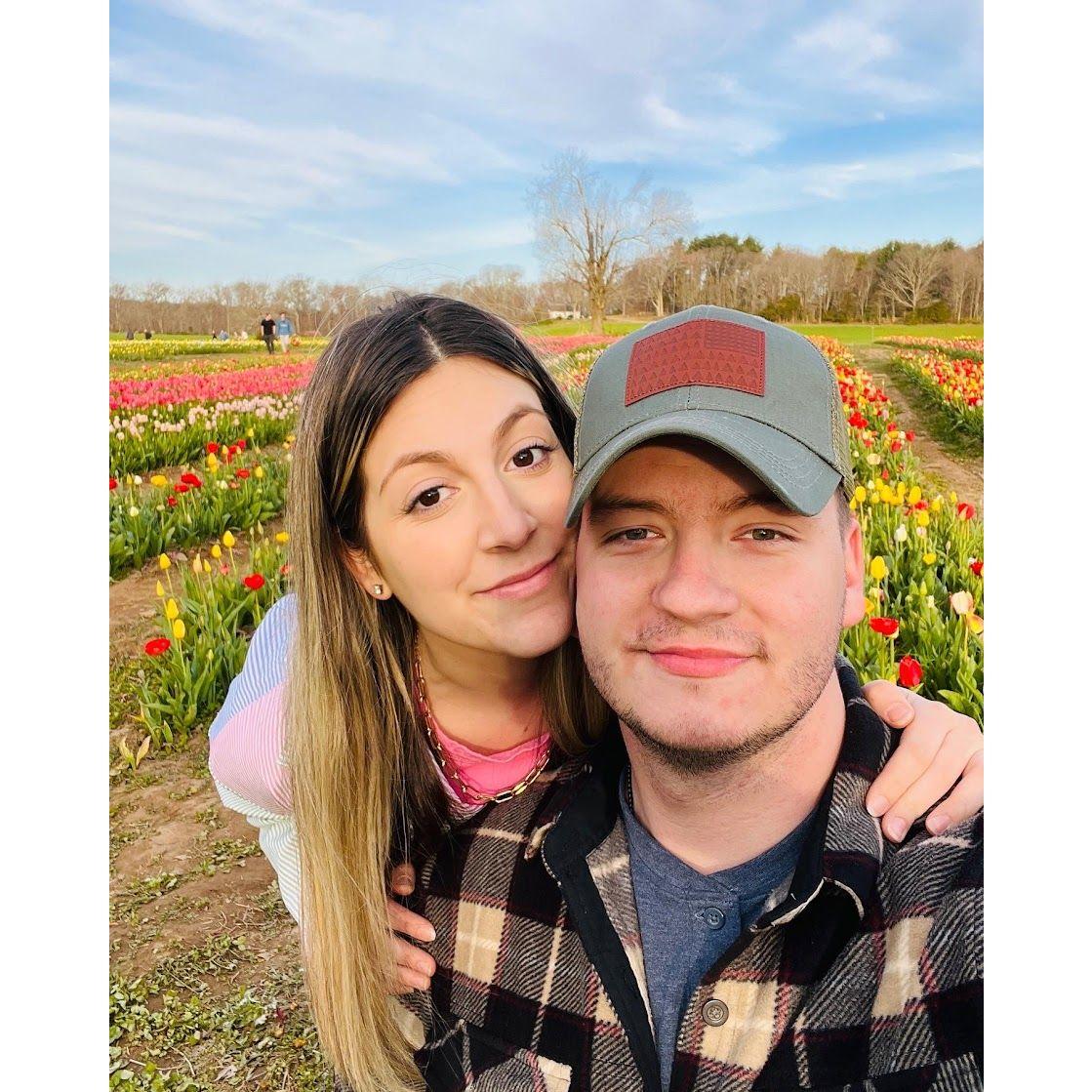 Tulip Fields in CT