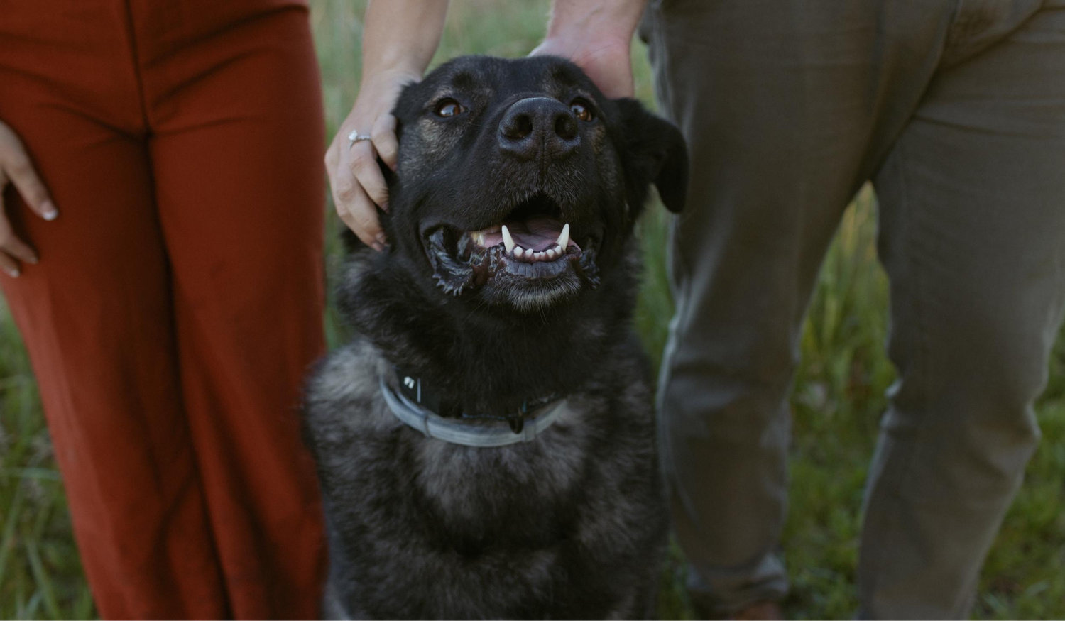 Footer image