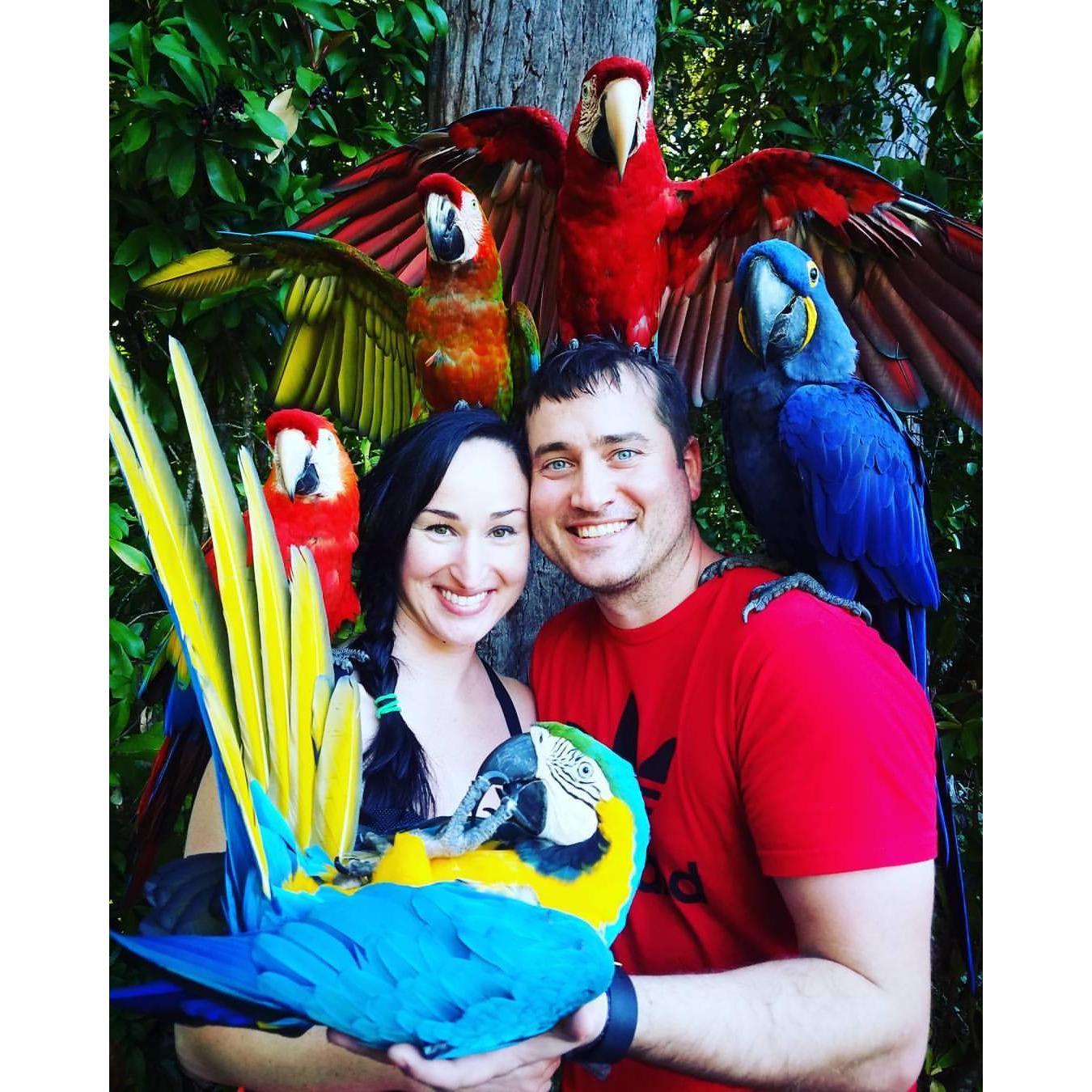 Fun fact about Ryan:  He loves Parrots!  Sweet little find while stopping at a fruit stand on the road to Hana, during our vacation in Maui.
