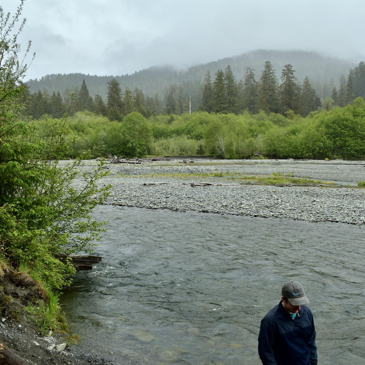 Olympic National Park